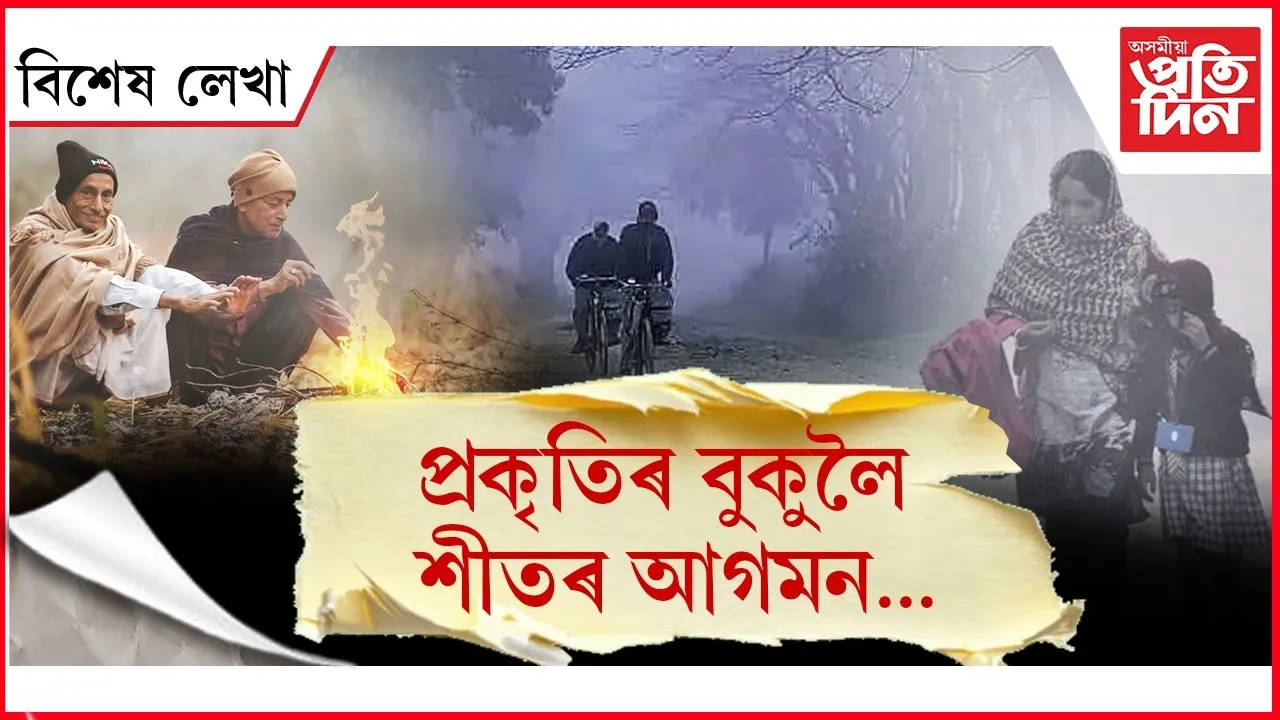 WhatsApp Image 2025-11-27 at 9.30.07 PM