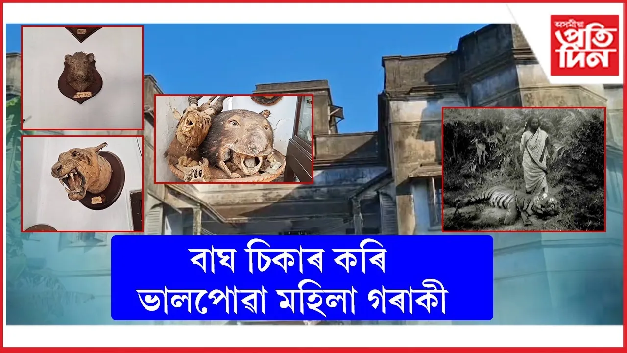 WhatsApp Image 2025-11-28 at 12.50.21 PM