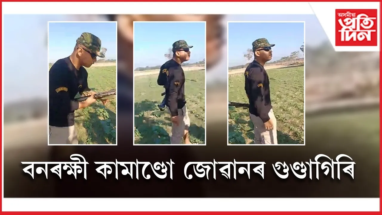 WhatsApp Image 2025-11-29 at 6.25.42 PM