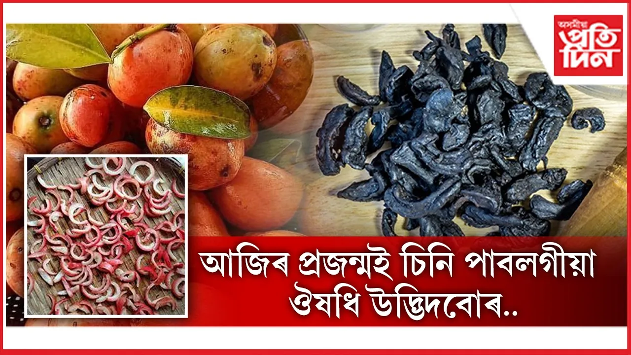 ঔষধি উদ্ভিদবোৰ-1