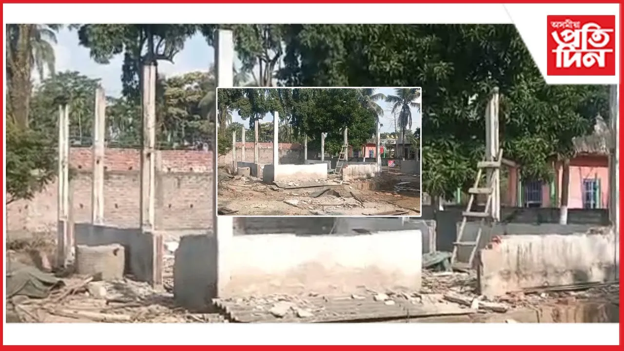 new ap web 11-11-24 new 2