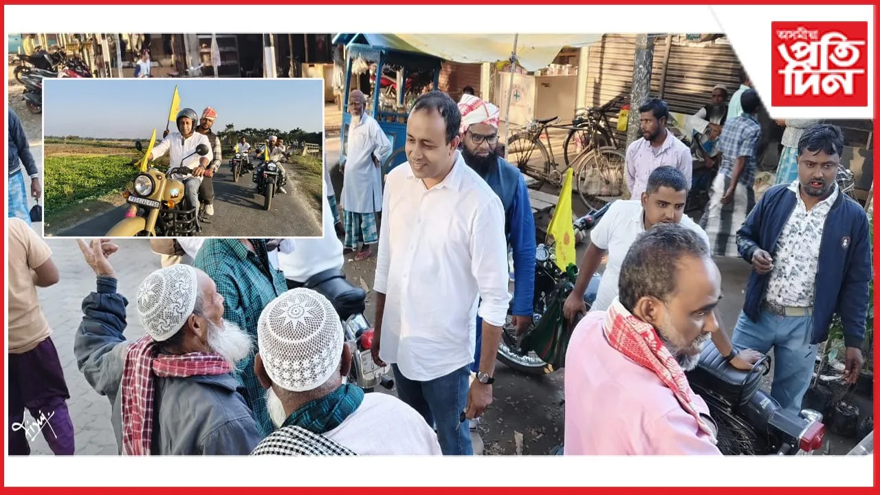 new ap web 11-11-24 new 2