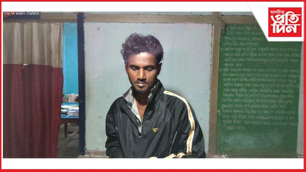 new ap web 11-11-24 new 2