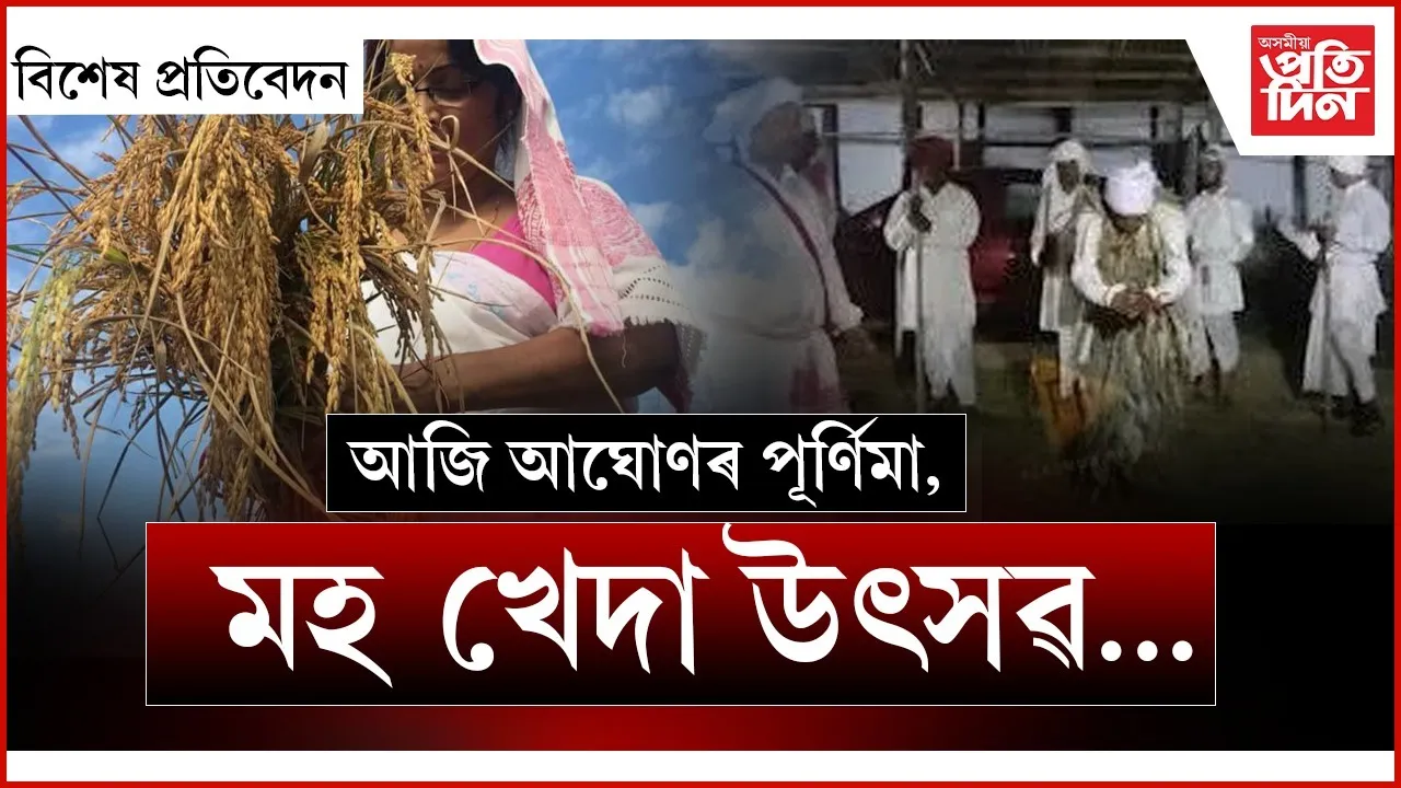 WhatsApp Image 2025-12-04 at 2.40.51 PM