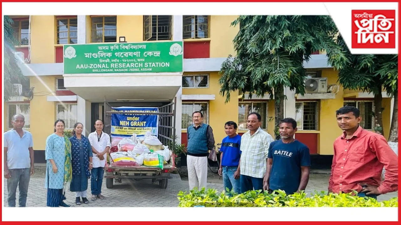 new ap web 11-11-24 new 2