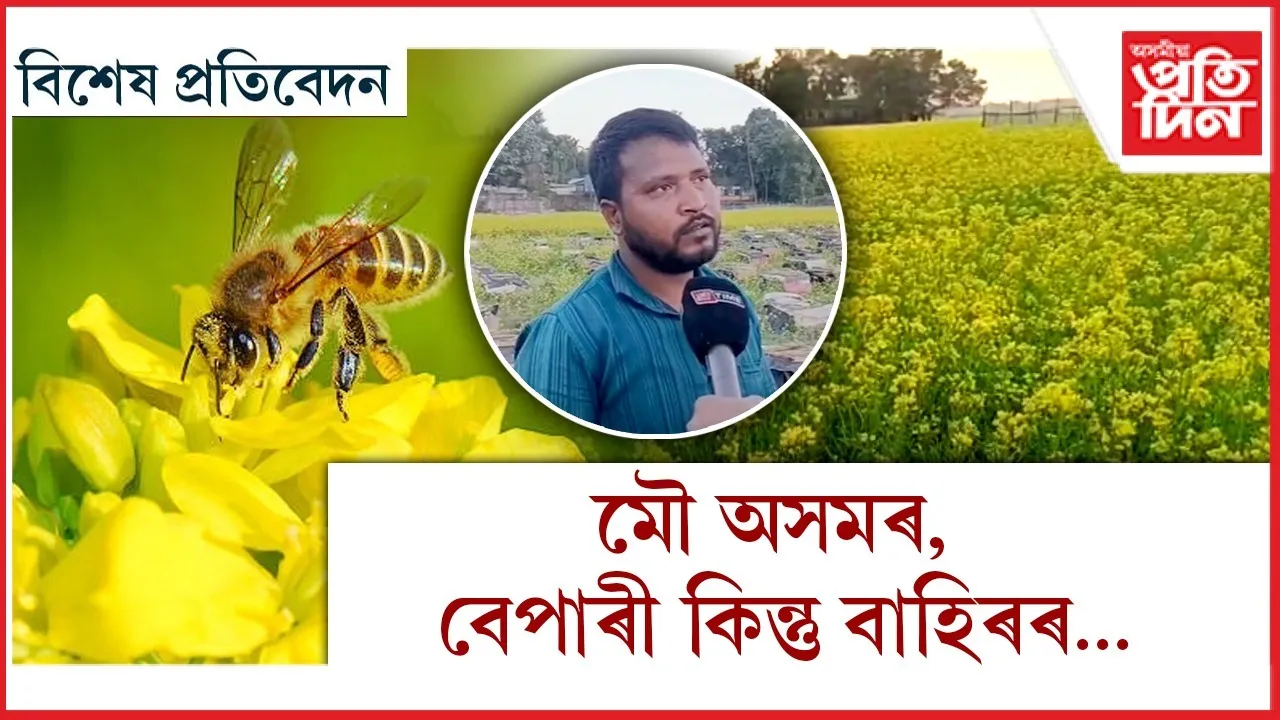 WhatsApp Image 2025-12-09 at 4.16.02 PM