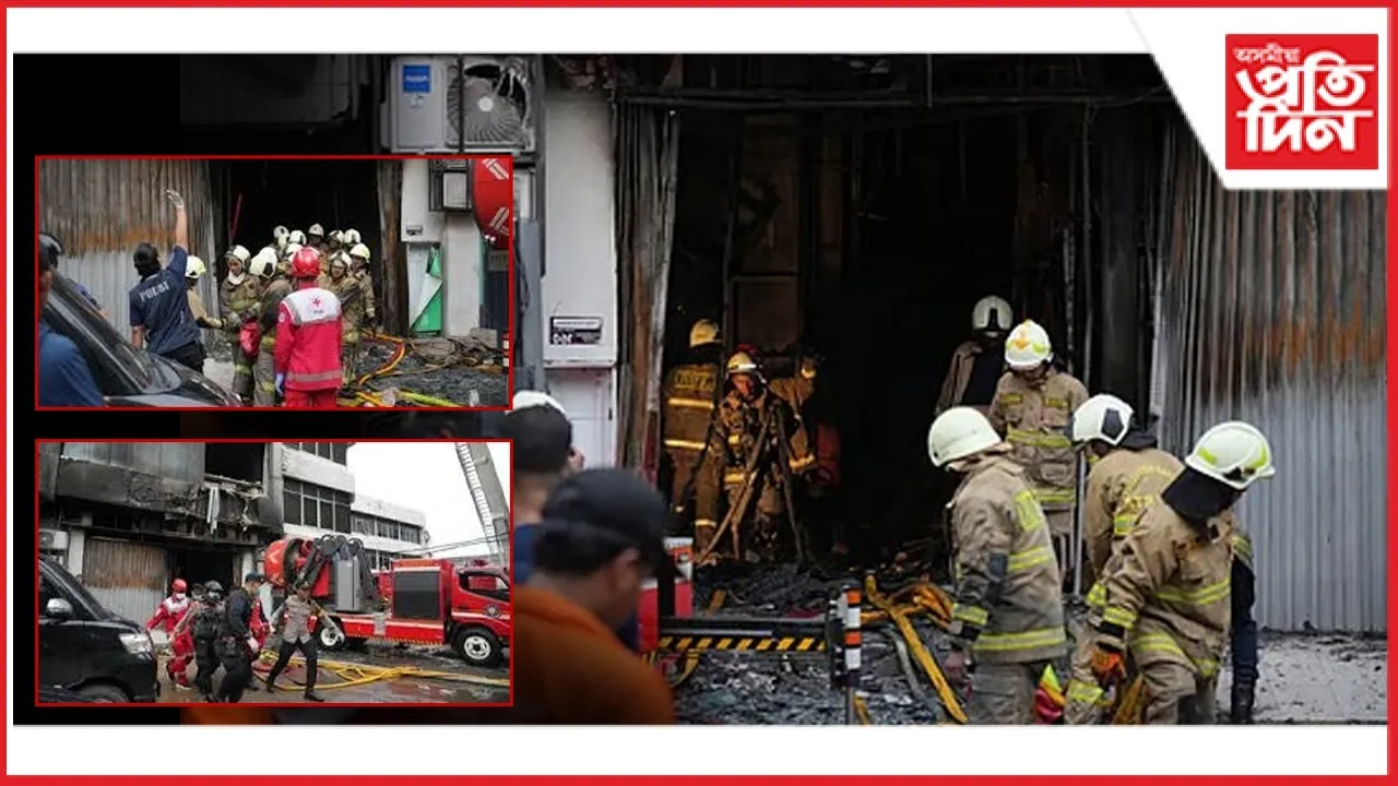 WhatsApp Image 2025-12-10 at 9.58.00 AM