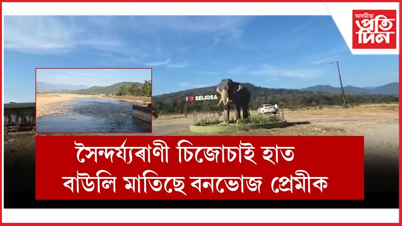 WhatsApp Image 2025-12-10 at 12.44.24 PM