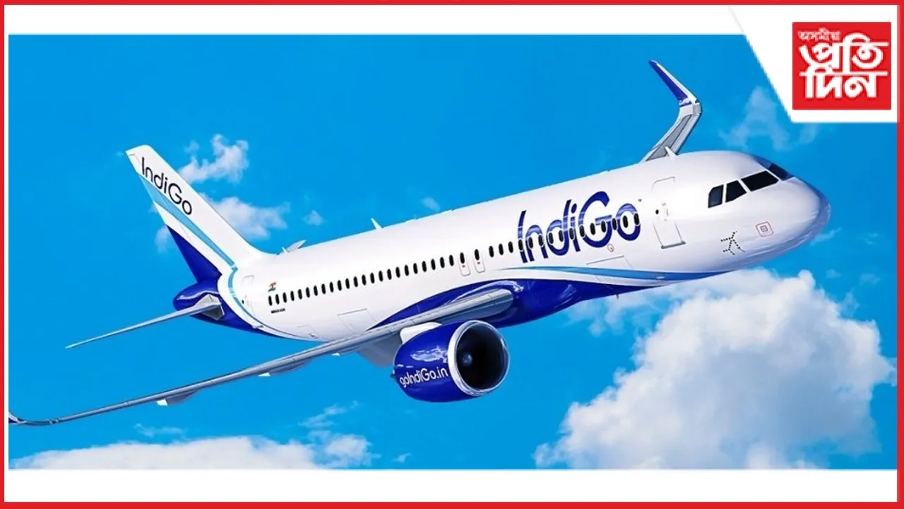 WhatsApp Image 2025-12-12 at 11.18.59 PM