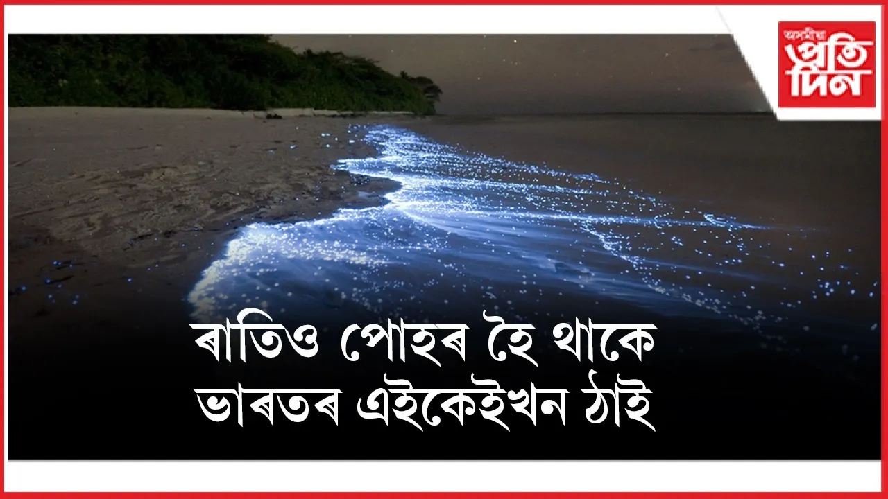 WhatsApp Image 2025-12-15 at 4.17.25 PM