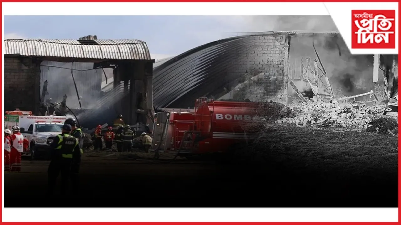 WhatsApp Image 2025-12-16 at 10.06.57 AM