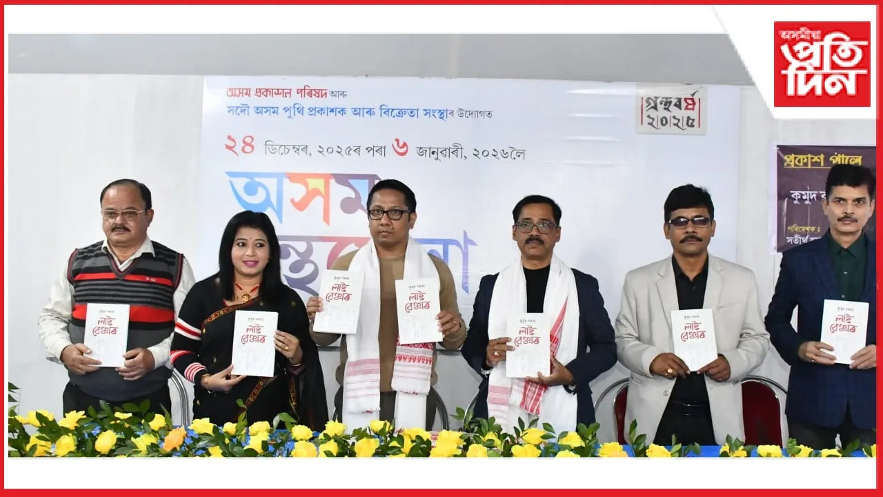 new ap web 11-11-24 new 2