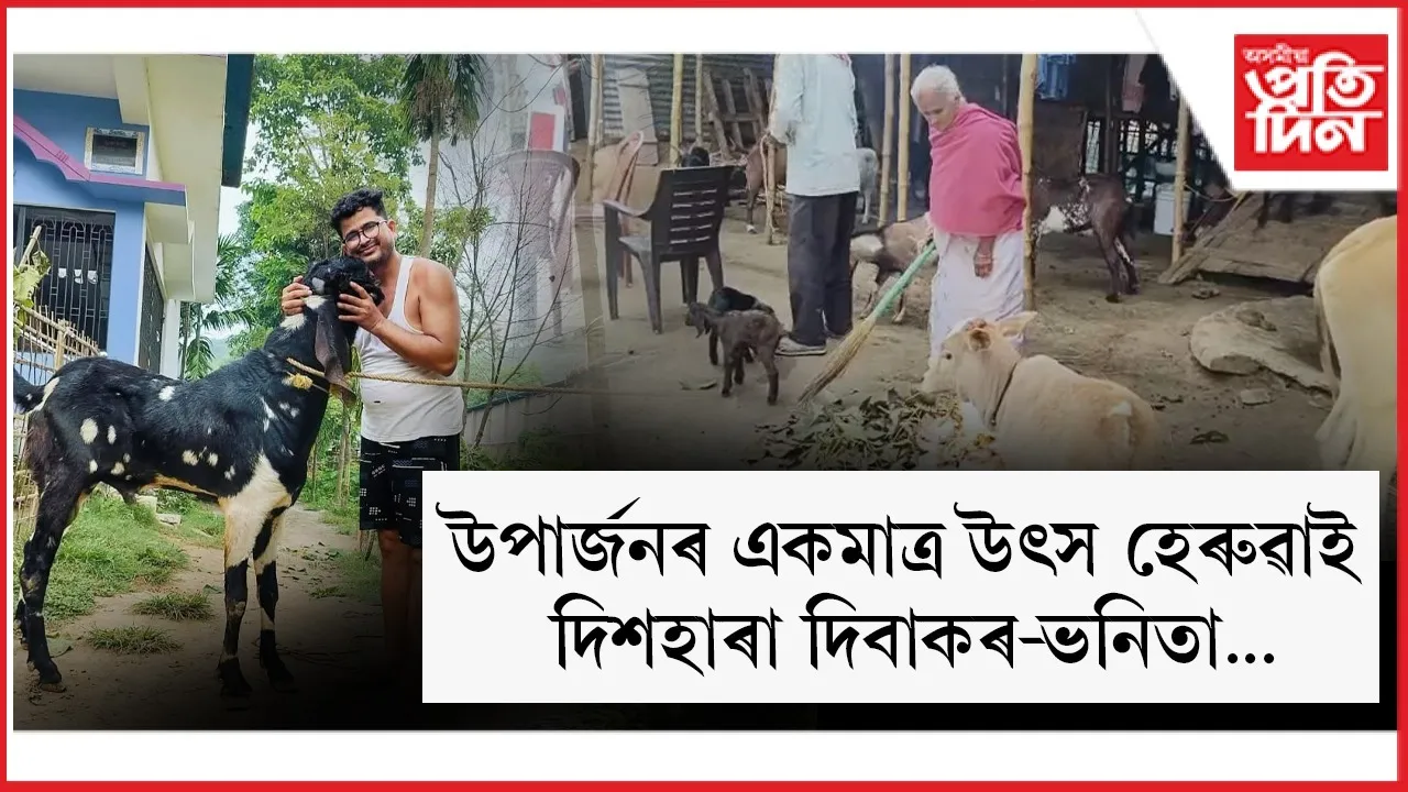 WhatsApp Image 2025-12-26 at 2.39.29 PM