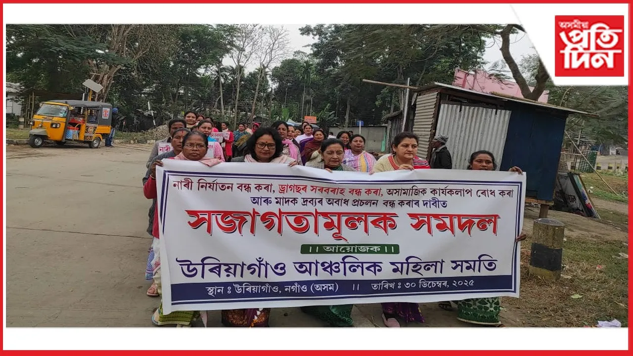 new ap web 11-11-24 new 2