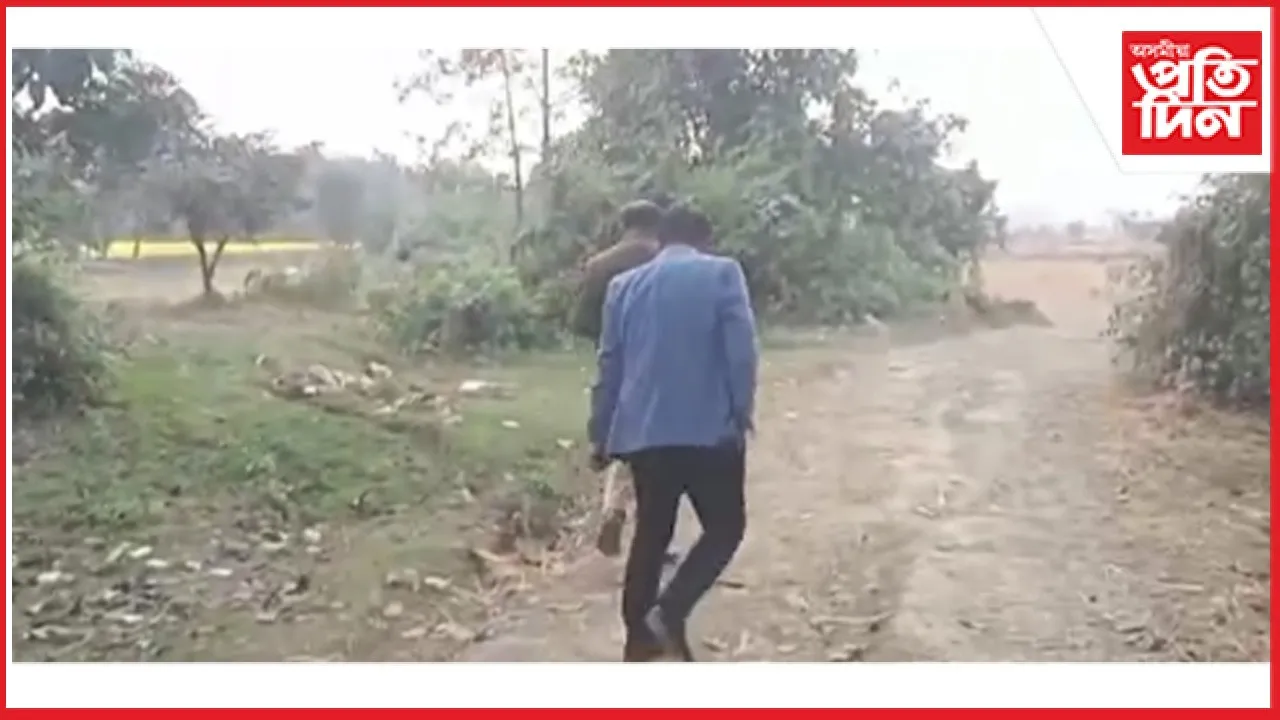 new ap web 11-11-24 new 2