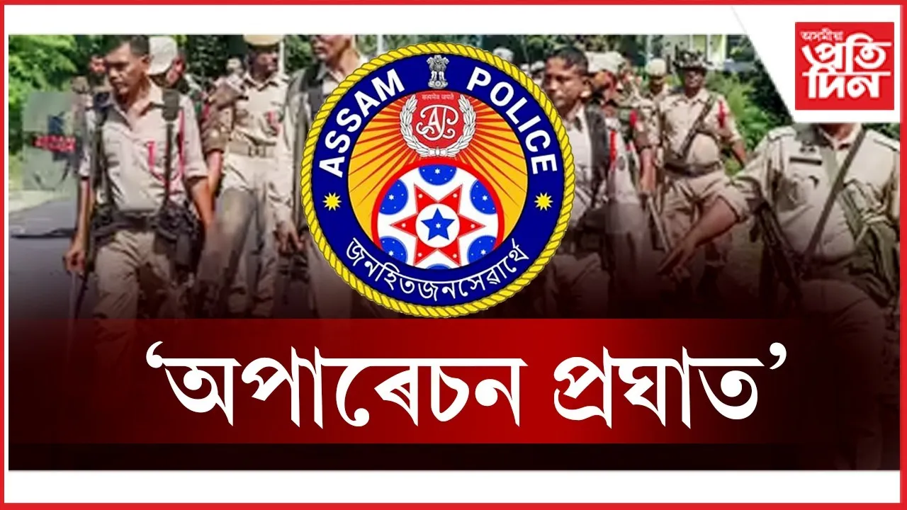 WhatsApp Image 2025-12-30 at 2.46.52 PM