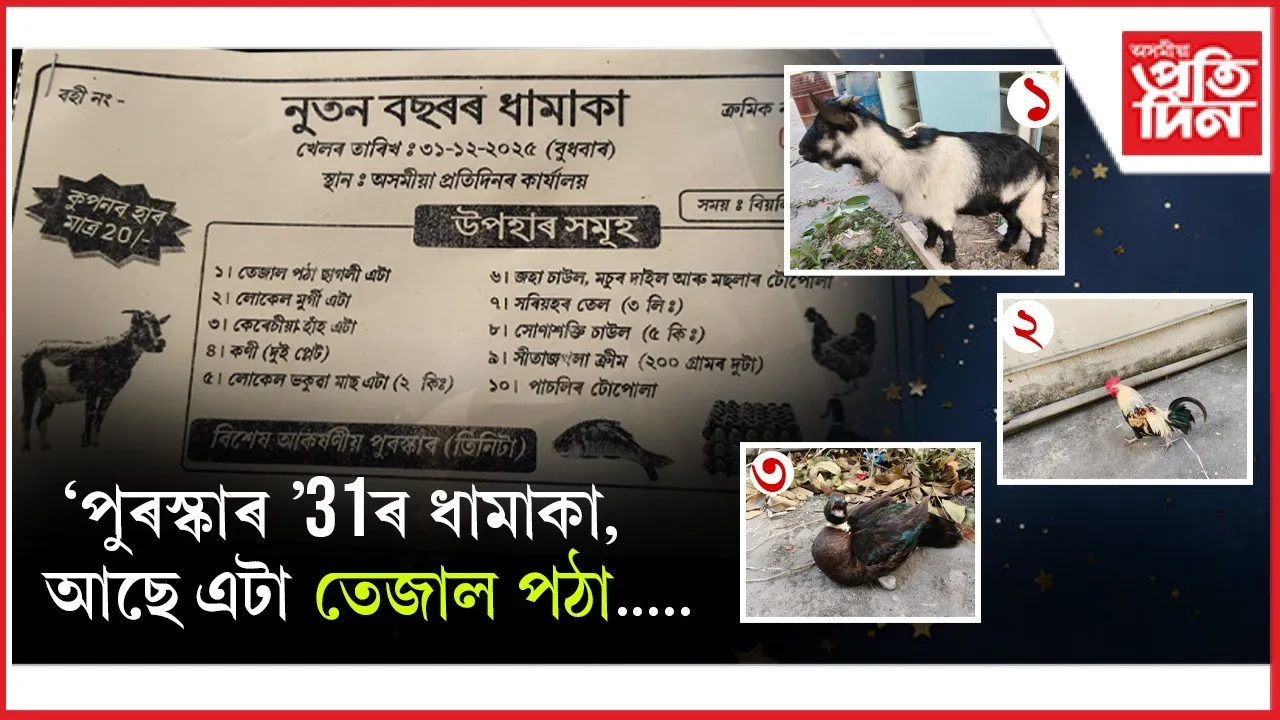 WhatsApp Image 2025-12-31 at 1.01.19 PM