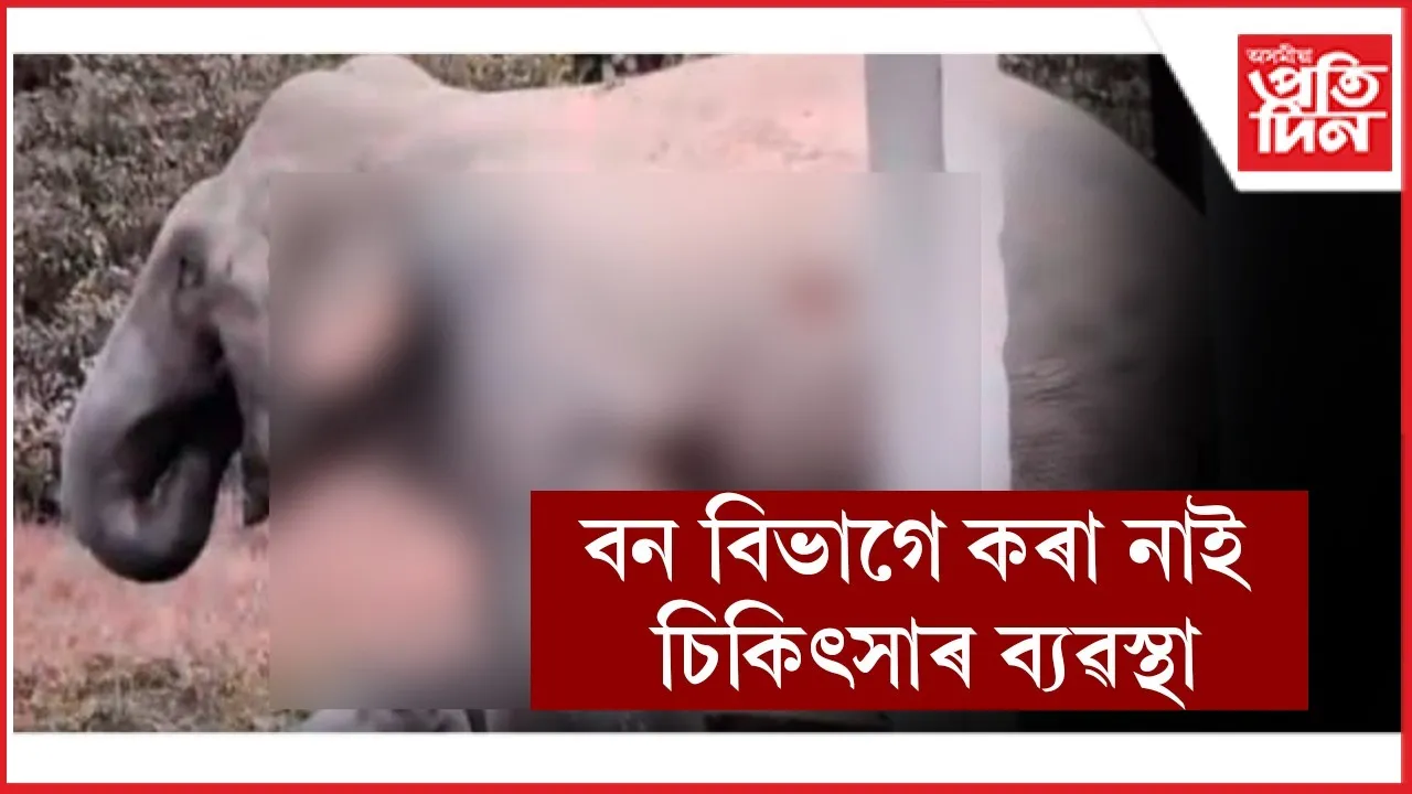 WhatsApp Image 2025-12-31 at 1.03.55 PM