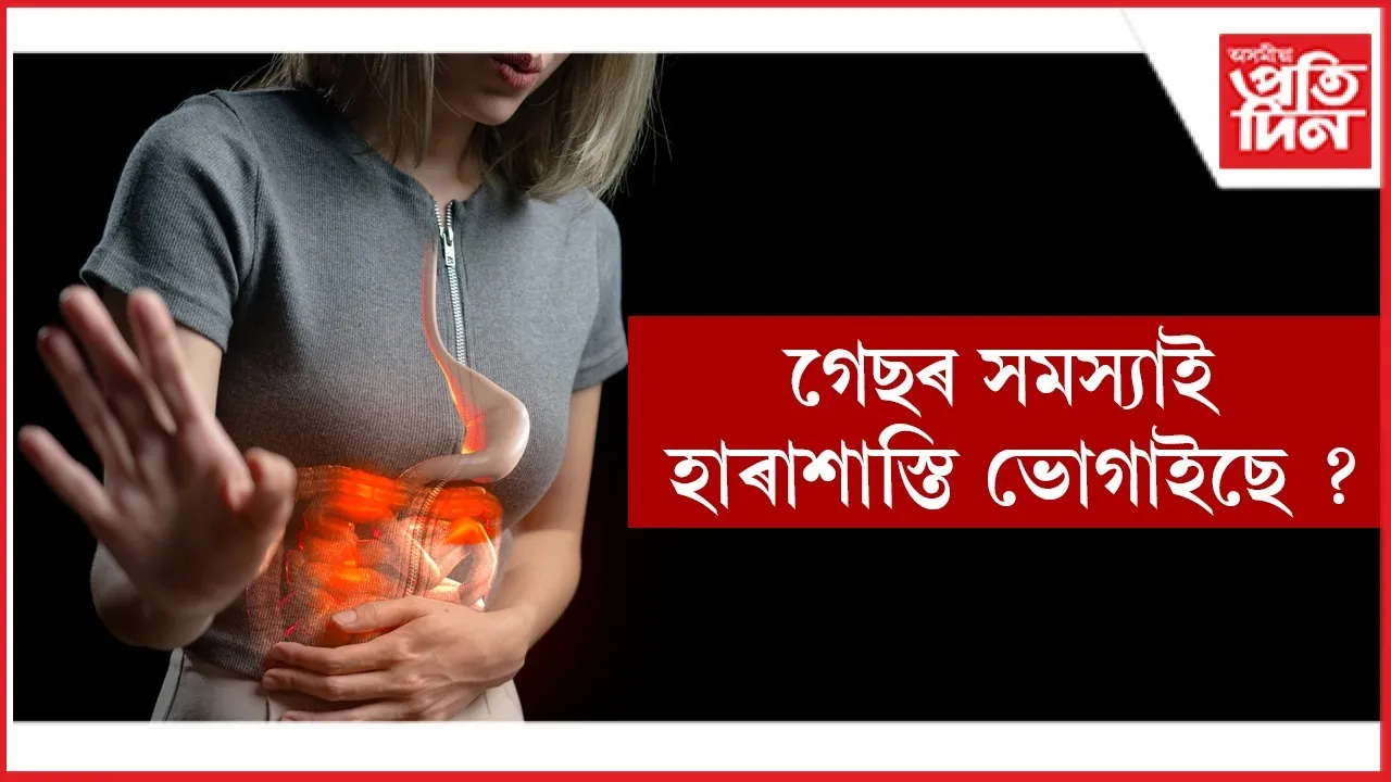 WhatsApp Image 2026-01-01 at 3.19.28 PM