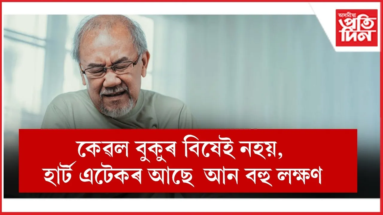 WhatsApp Image 2026-01-11 at 3.49.48 PM