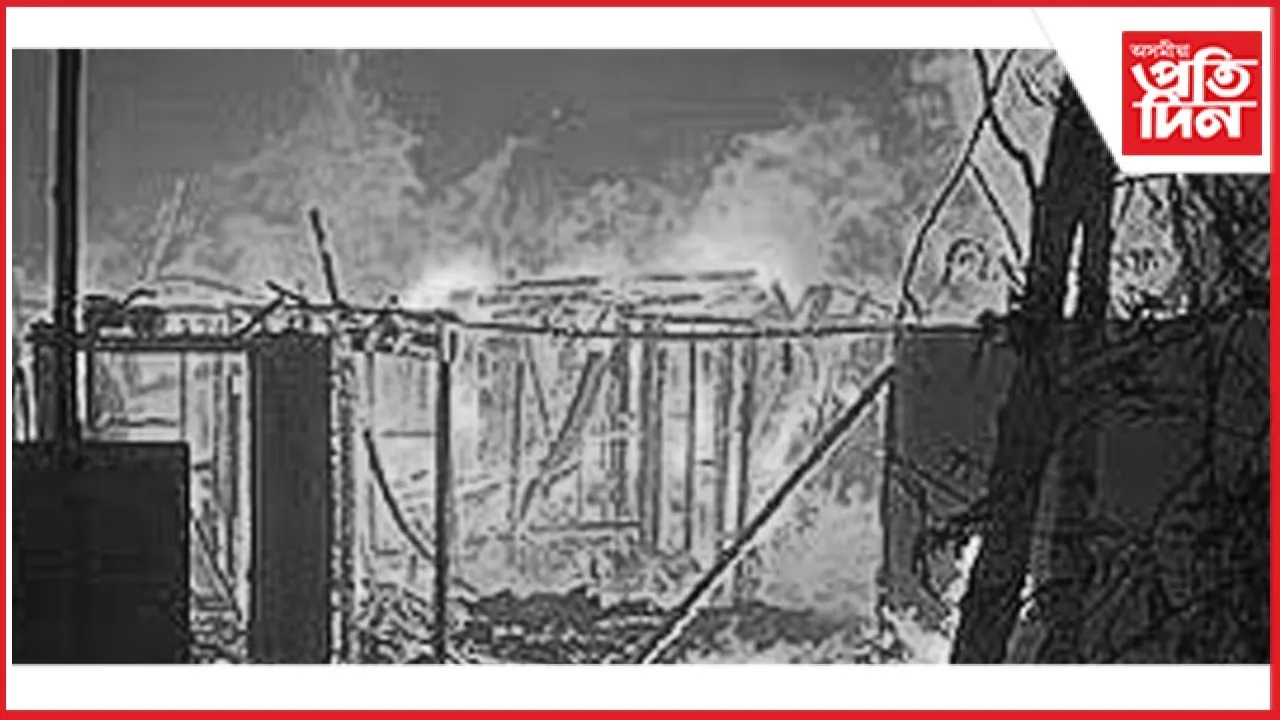 WhatsApp Image 2026-01-15 at 11.32.35 PM