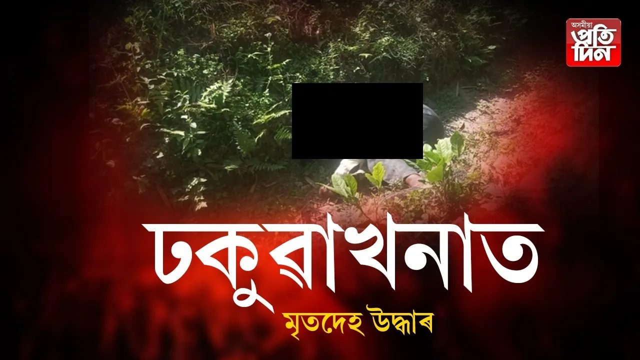 f3659dc3-6080-480e-a82f-b87d54868a51