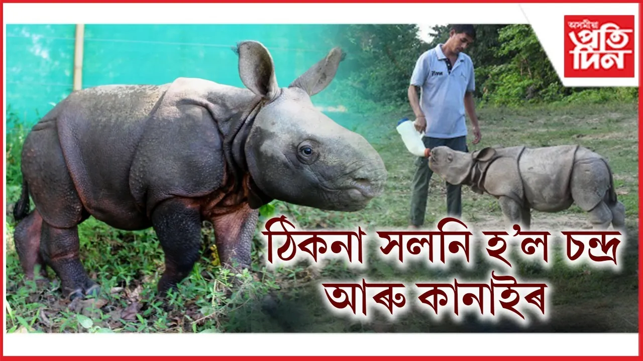 WhatsApp Image 2026-01-20 at 11.23.04 AM