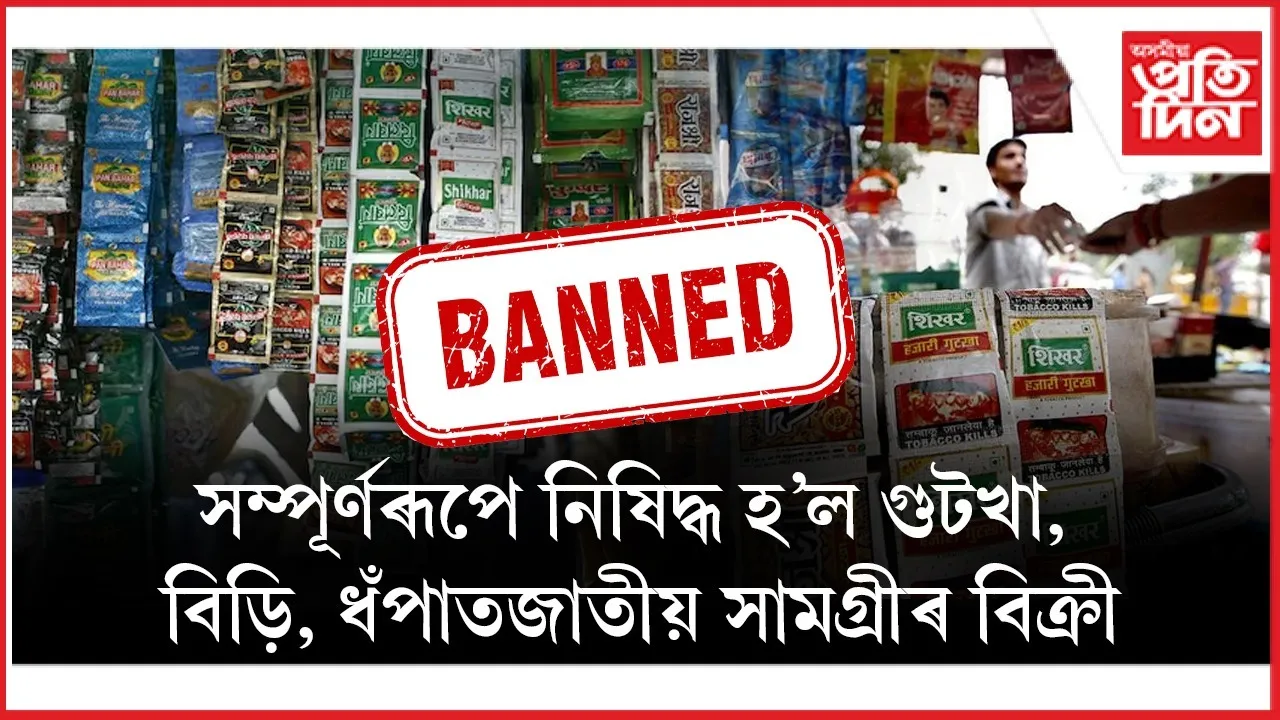 WhatsApp Image 2026-01-23 at 11.15.33 AM