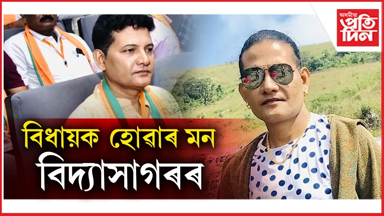 new ap web 2.jpg (6)