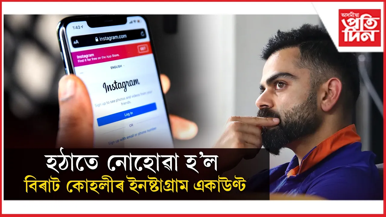 new ap web 1.jpg (5)