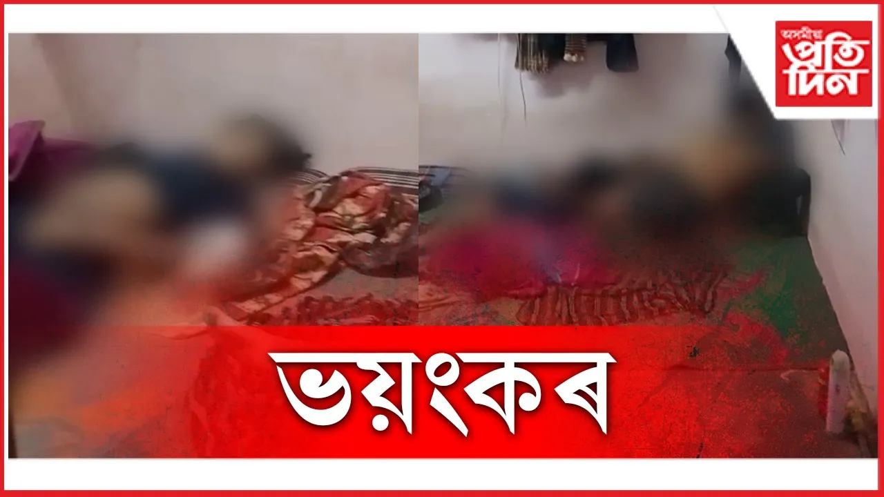 new ap web 1.jpg (6)