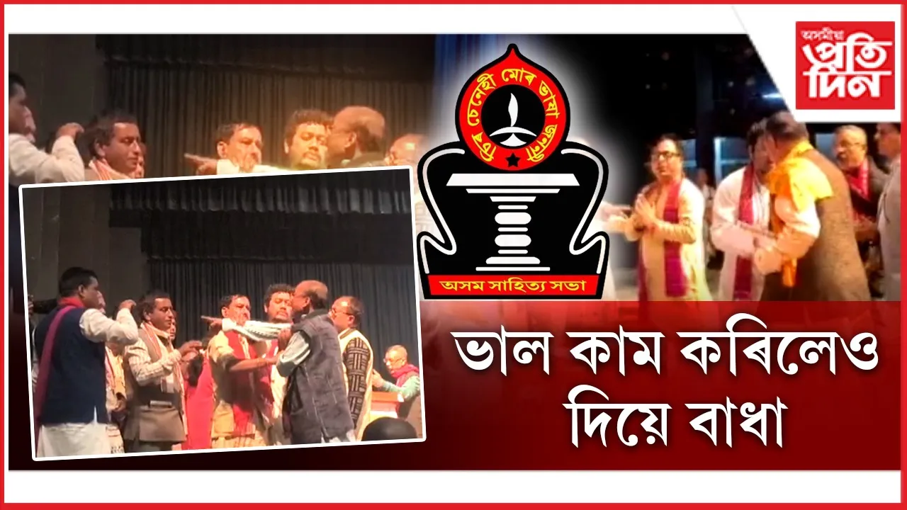 new ap web 2.jpg (3)