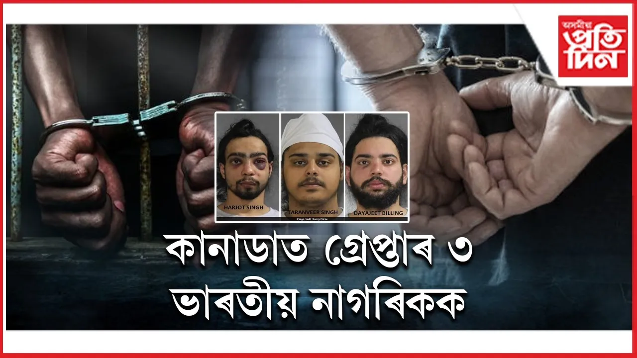 WhatsApp Image 2026-02-03 at 6.34.09 PM