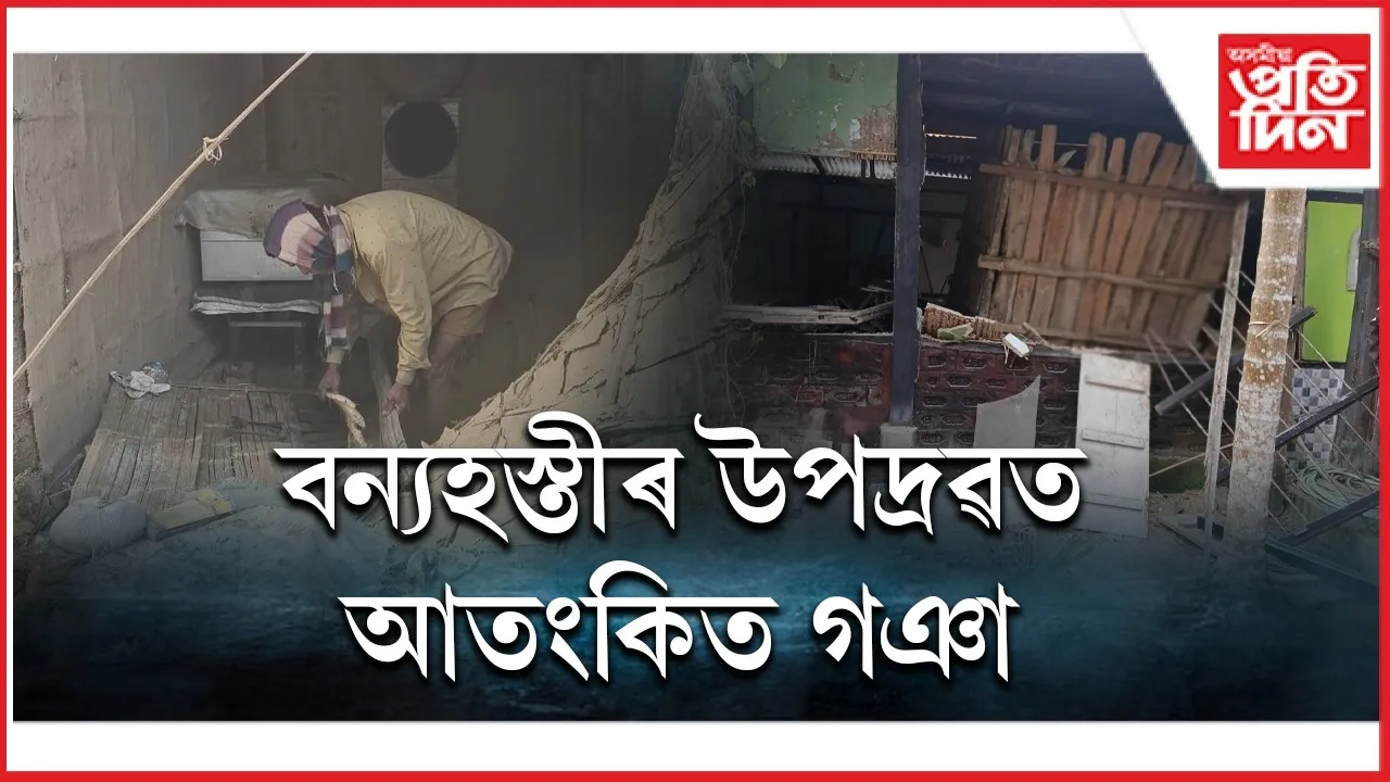 WhatsApp Image 2026-02-03 at 7.49.41 PM