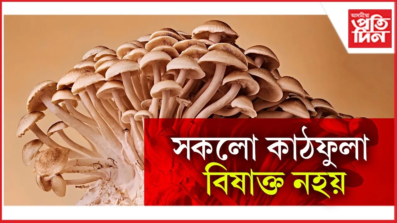 WhatsApp Image 2026-02-04 at 4.14.59 PM