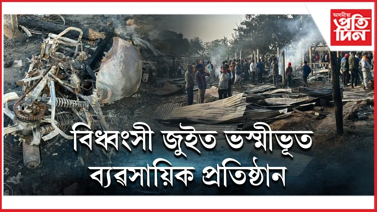 WhatsApp Image 2026-02-04 at 10.25.53 AM