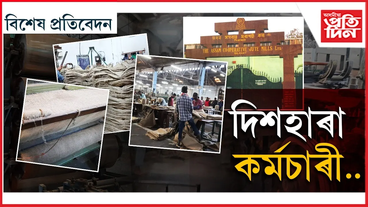 d2c3d4a1-2012-49c7-a12b-b639d475fa0b