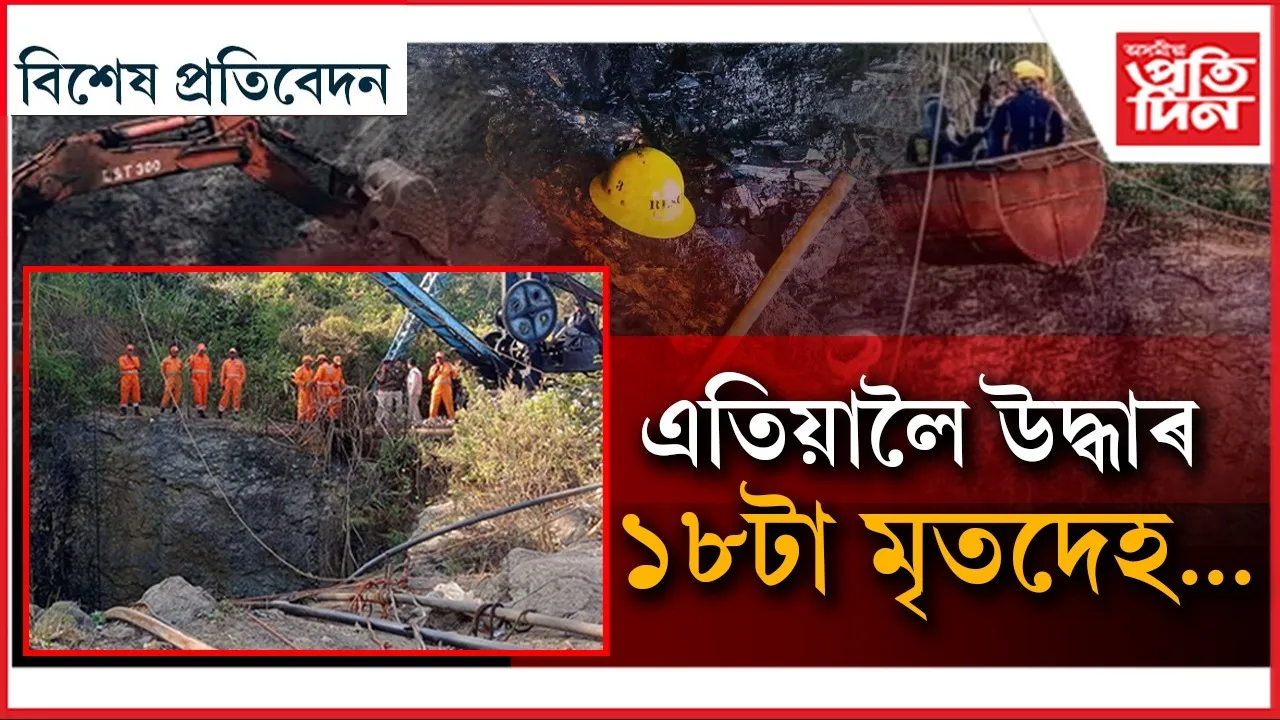 WhatsApp Image 2026-02-06 at 12.38.31 PM