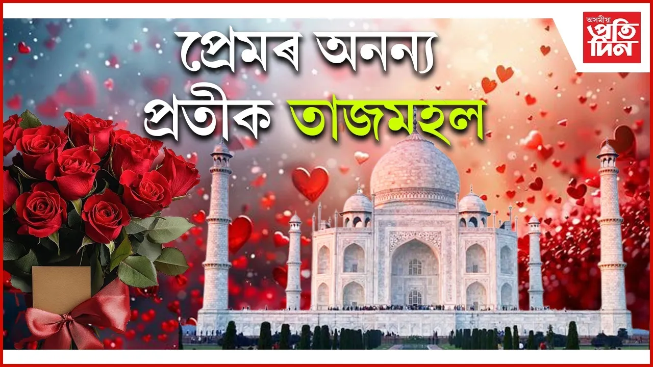 WhatsApp Image 2026-02-09 at 5.47.09 PM