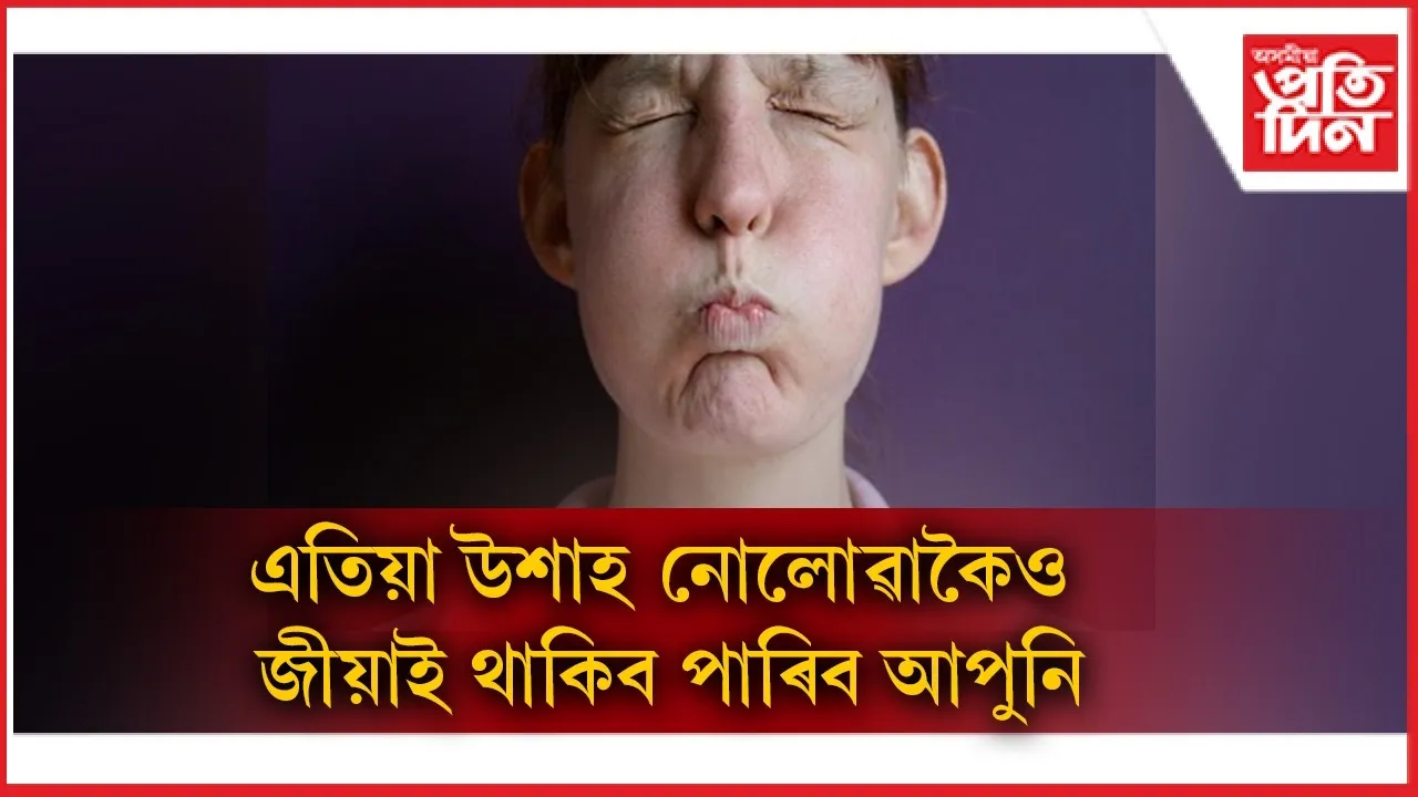 WhatsApp Image 2026-02-12 at 12.39.59 PM