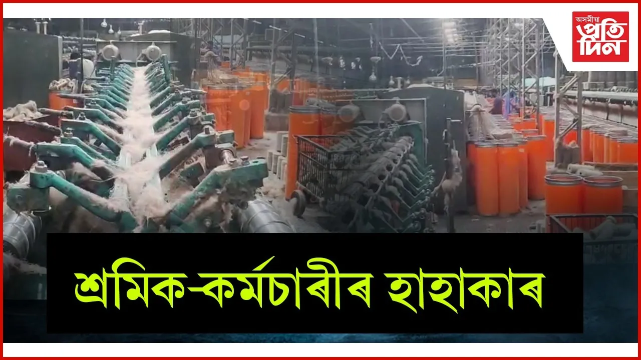 WhatsApp Image 2026-02-13 at 7.51.14 PM