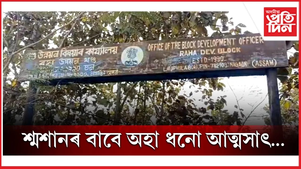 new ap web 1.jpg (7)