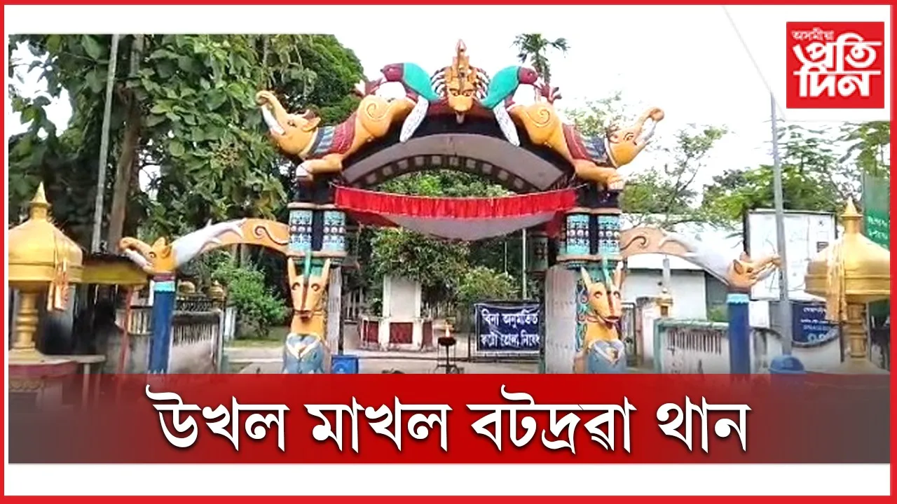 new ap web 2.jpg (5)