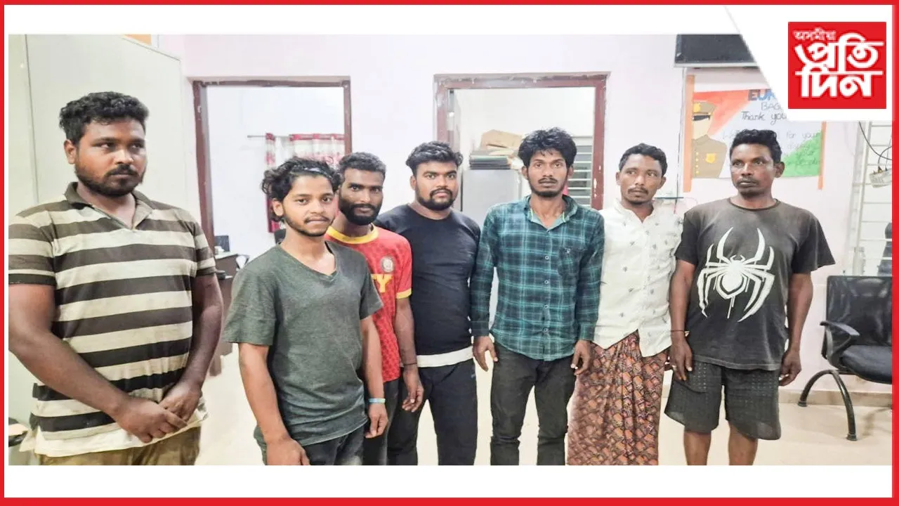 new ap web 11-11-24 new 2