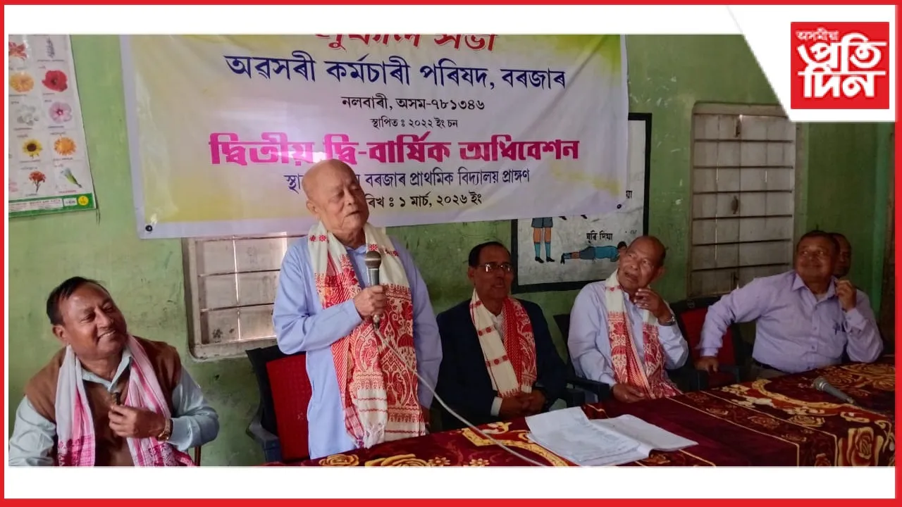 new ap web 11-11-24 new 2