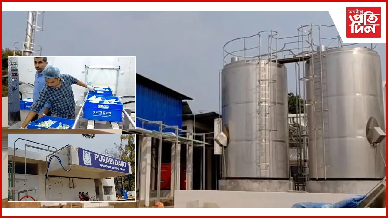 WhatsApp Image 2026-03-01 at 5.01.38 PM