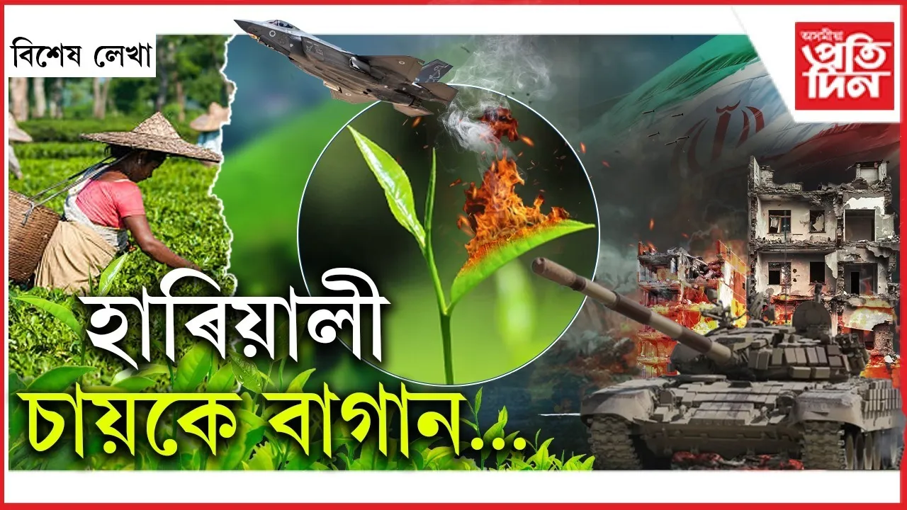 6aff6b23-4a51-4db8-accc-96b8f97c7959