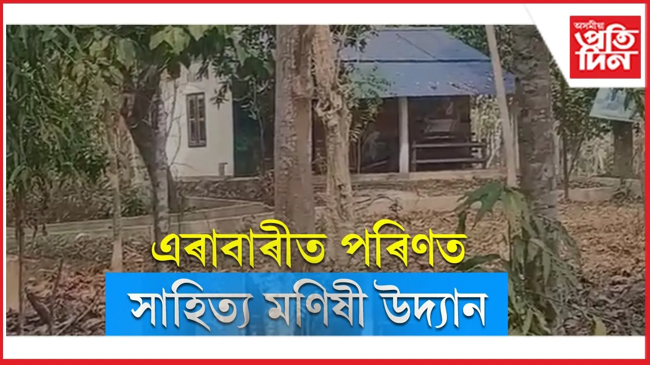 new ap web 11-11-24park