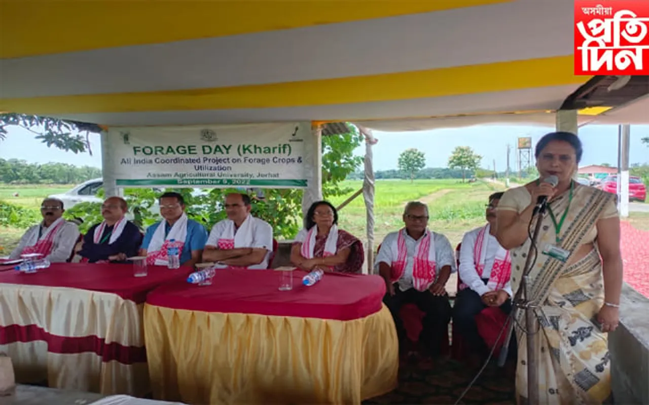 অসম কৃষি বিশ্ববিদ্যালয়ত ঘাঁহ দিৱস পালন