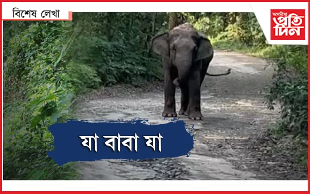 কথা শুনা এটা বনৰীয়া হাতী...